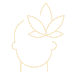 Image icon