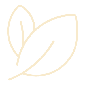Image icon