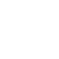 Image icon