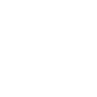 Image icon