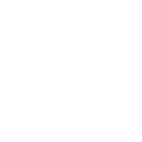 Image icon